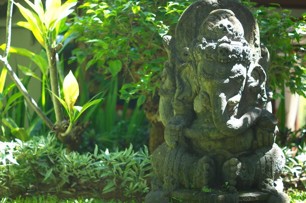 Indo Rumah Zengarden Pabean Buleleng 部屋 写真
