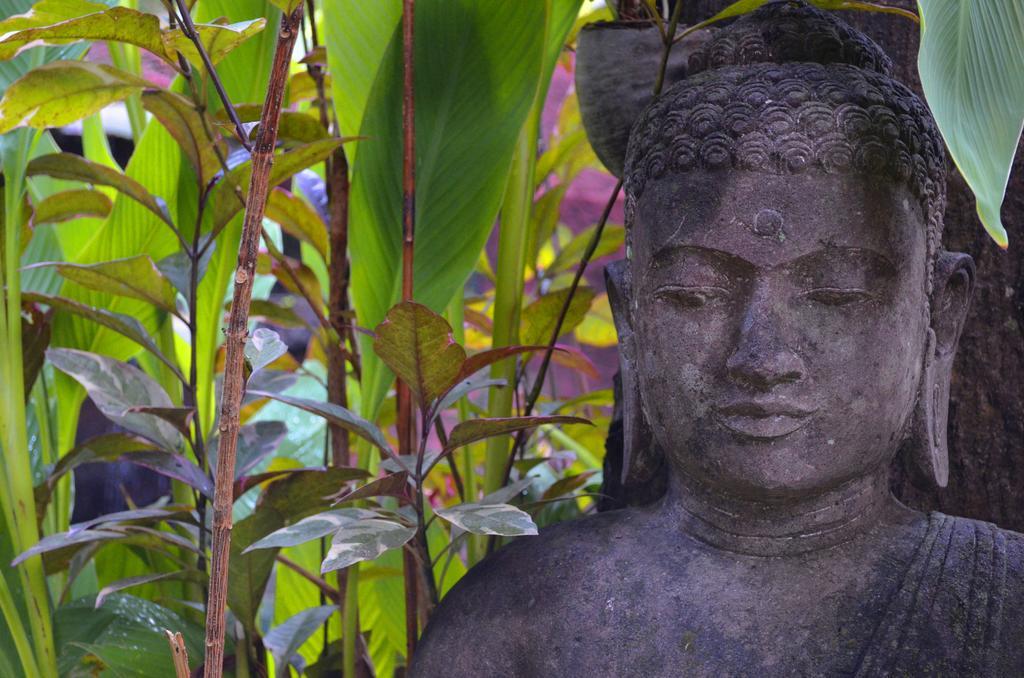 Indo Rumah Zengarden Pabean Buleleng エクステリア 写真