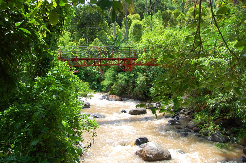 Indo Rumah Zengarden Pabean Buleleng エクステリア 写真