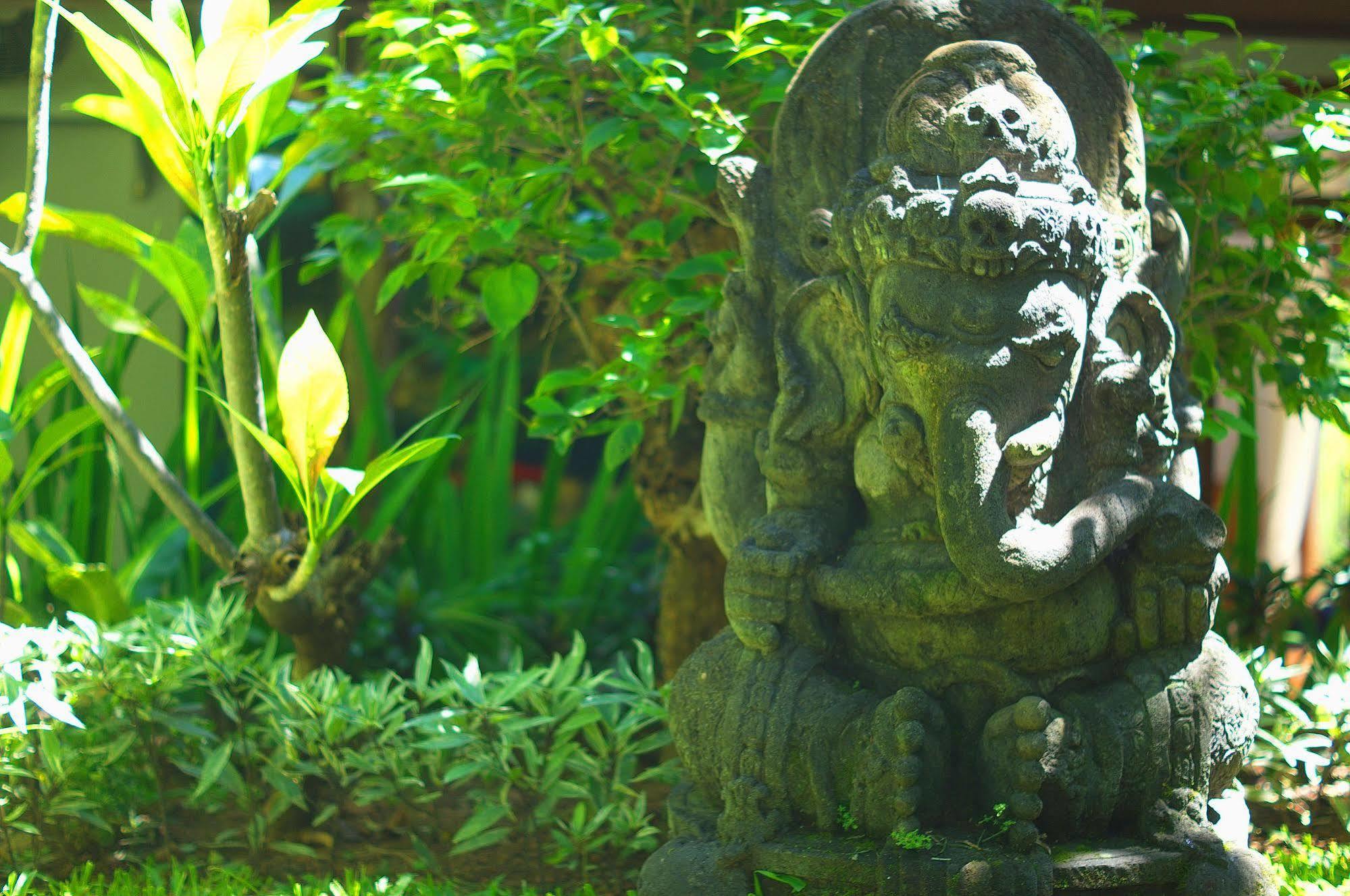 Indo Rumah Zengarden Pabean Buleleng エクステリア 写真